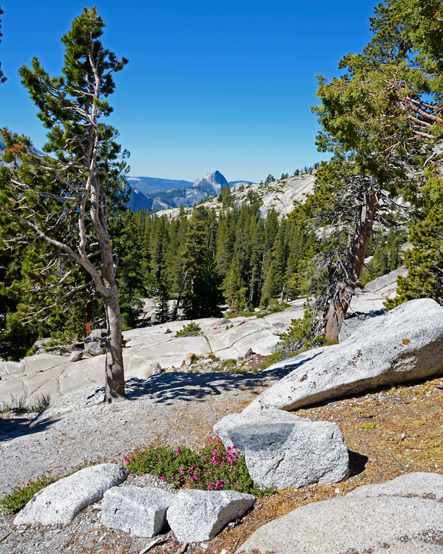 Yosemite_Half_Dome_6919.jpg
