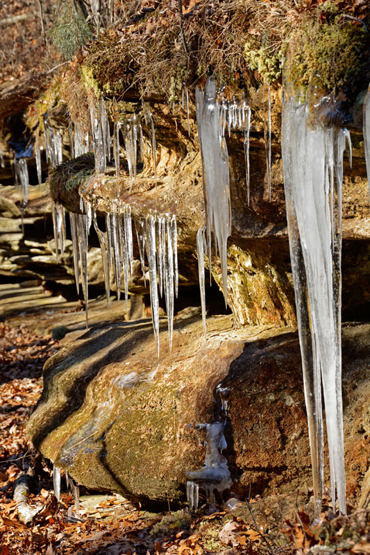 Hickory_Canyons_Icicles_0410.jpg
